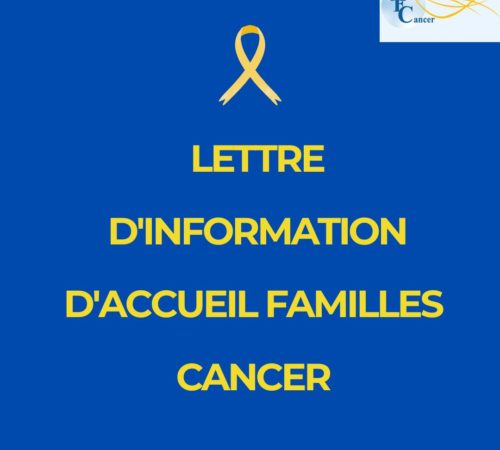 Lettre d&rsquo;informations n°28  2026